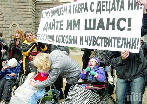 Кухи даскалски глави мъдрят безумия 