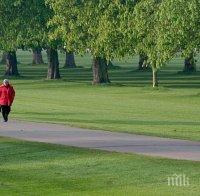 Експерти: Разходката помага срещу болки в гърба

