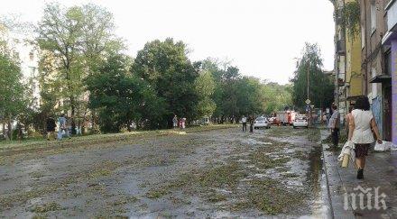 градушка помля кюстендил улиците реки ранните череши застрашени