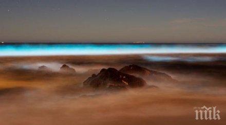 сияещата тъмното вода озарена морските същества