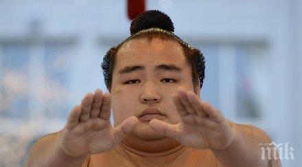 великият шампион какурю пропуска летния турнир