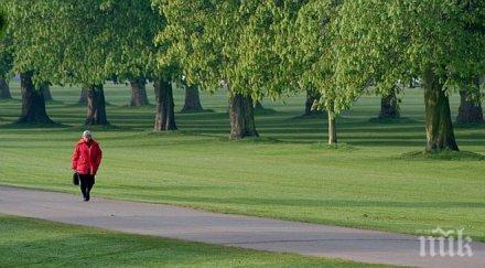 експерти разходката помага болки гърба