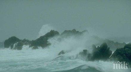 откриха мъртви зони океана видео