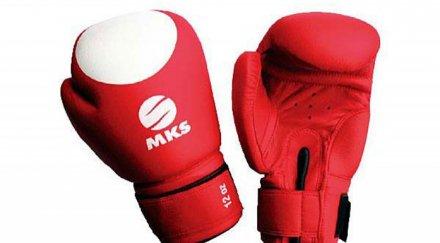 враца домакин голяма гала вечер професионалния бокс