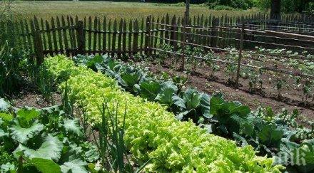 храни отлагат старостта