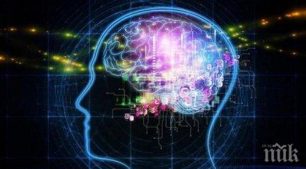 революционен метод лекува мозъчни увреждания