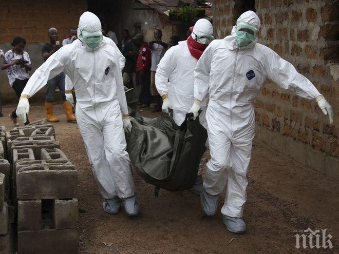 Загиналите от ебола надхвърлиха 11 хиляди души, обявиха от СЗО