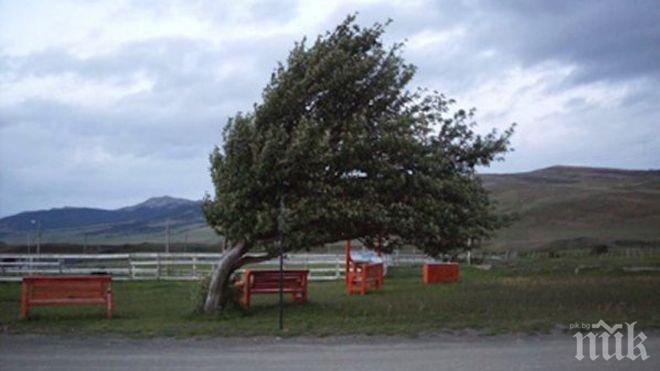 Ураганен вятър връхлетя Хасково
