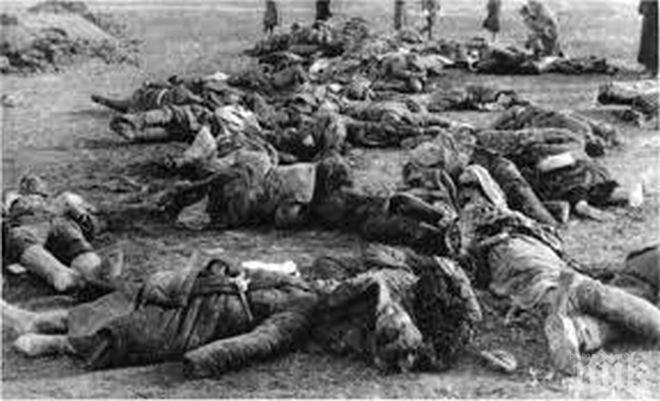 Близо хиляда съветски войници бяха погребани 70 години след Втората световна война