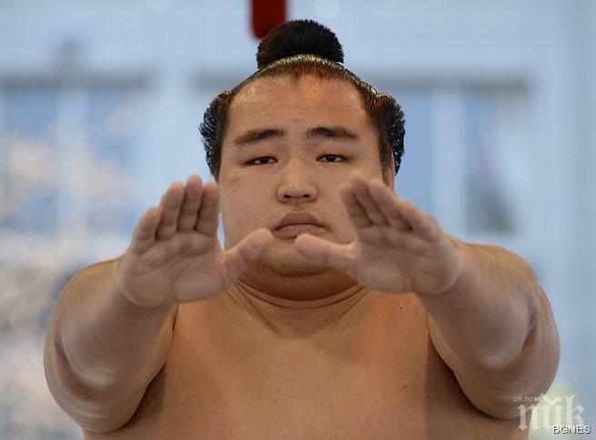 Великият шампион Какурю пропуска и летния турнир