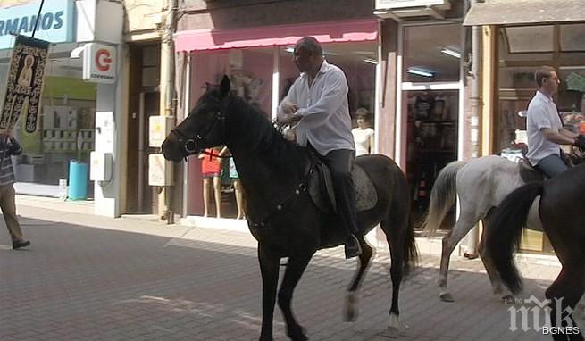 ПИК TV: Кон със собствено мнение