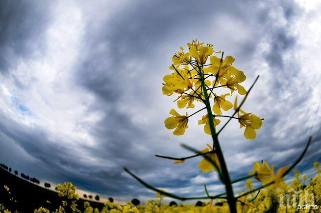 Променливо време, над планините ще превали