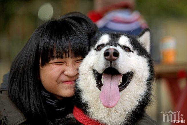 Децата предпочитат да споделят на домашните си любимци 