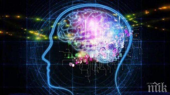 Революционен метод лекува мозъчни увреждания