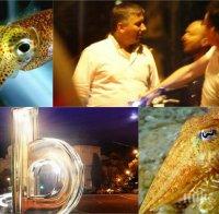 Сепията! Иво Прокопиев! Травеститската игра с Би Ти Ви! Мекотели, власт и... медии! Изпраният имидж!