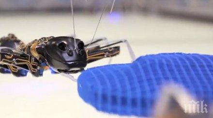 изследователи тестват мислещи морски роботи