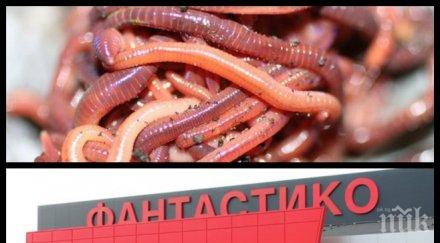 ексклузивно пик клиент фантастико изригна джоланите червеи магазините цари пълен хаос снимка