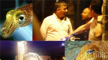 сепията иво прокопиев травеститската игра мекотели власт медии изпраният имидж