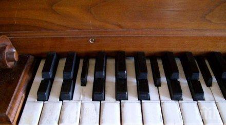 софия отпуска 600 хил музикални проекти