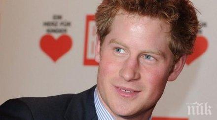 принц хари видял редки птици нова зеландия