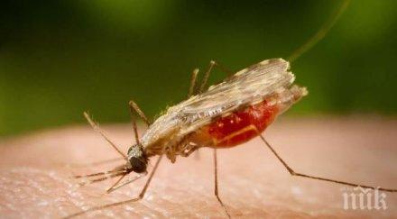 пробив учени оксфорд силни резултати борбата маларията