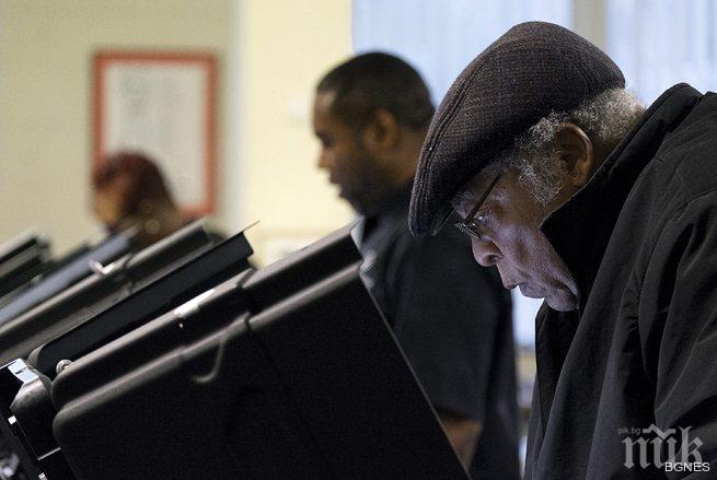 Кандидатурата на свиня е издигната за американски кмет