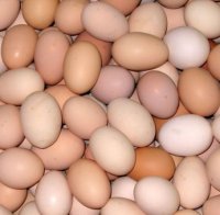 Нелепо: Младеж изяде 28 яйца заради облог и умря