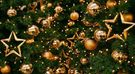 итар–тасс повечето българи посрещат нова година вкъщи