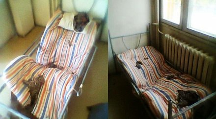 гавра режат дюшеците болни затворници бият снимки