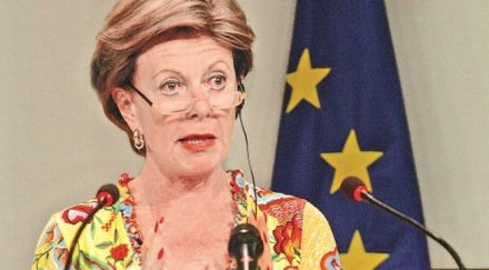 нели крус сезирана картел бтв тв7