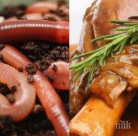 Поредна гавра! Вижте как семейство си купи агнешко месо от търговска верига, гарнирано с червей