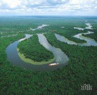 Бразилия планира да национализира Амазония