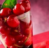 Първите български череши - по 1 лв. в кофички за сок