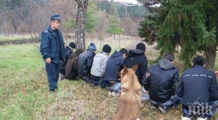 българия първенец положителни решения статут имигрантите