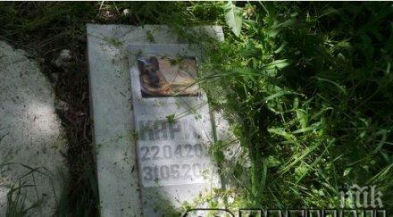 община бургас стресна заровените животни морската градина прави гробище домашни любимци