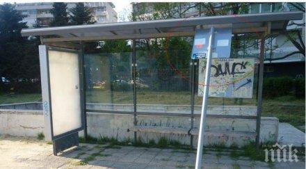 смях знак подпира спирка варна снимки