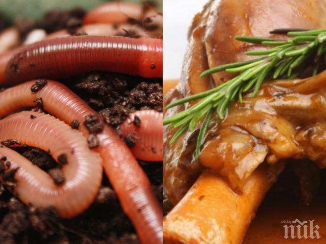 Поредна гавра! Вижте как семейство си купи агнешко месо от търговска верига, гарнирано с червей