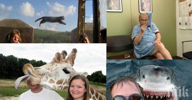 Уникални снимки, за чието заснемане няма никакво обяснение!