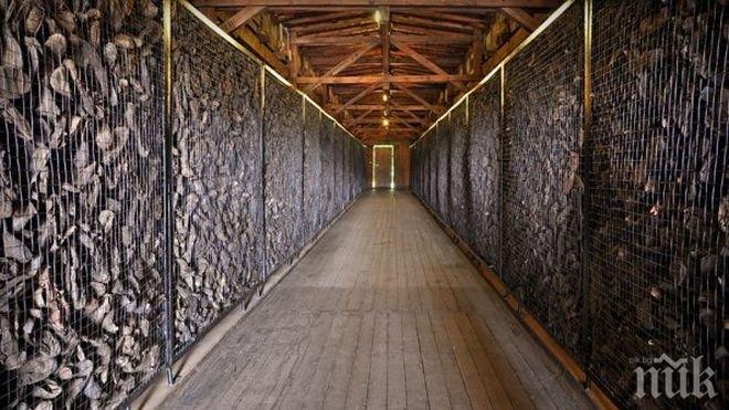 И надзирателите на бунт срещу реформата на министъра-протестър Христо Иванов