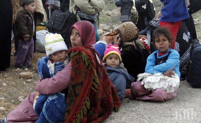 Откриха 30 нелегални сирийци във видински рейс