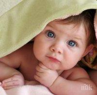 С 400% е скочил броят на жените, които замразяват яйцеклетките си