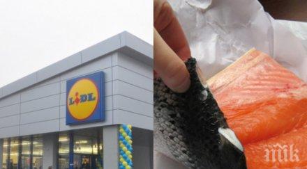 ексклузивно пик лидл продължава подиграва хората клиенти обикалят гламави магазините търсят измислени промоции евтината сьомга