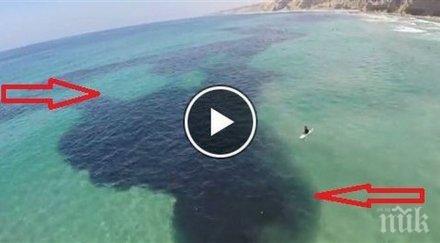 първоначално помислих разлив петрол приближиха направо вярвам очите