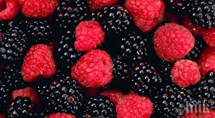 глобализацията влошава ценовите шокове вносителите храна