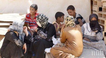 експерт българия техническа финансова подготовка нова бежанска вълна