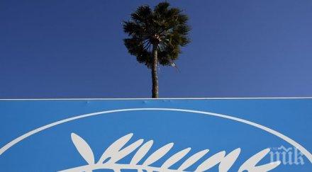 стартира филмовия фестивал кан