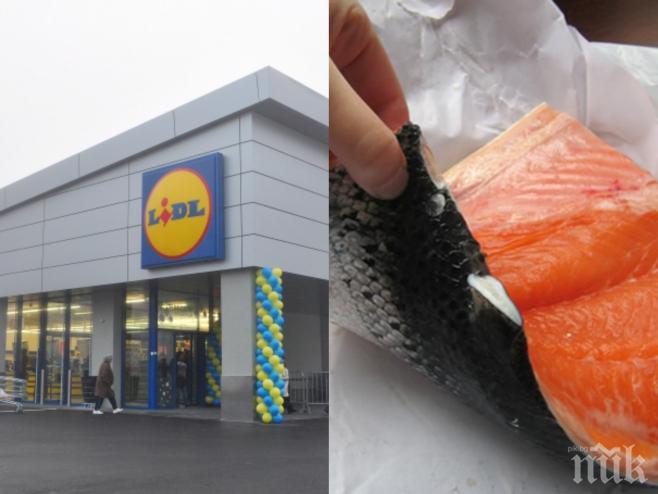 Ексклузивно в ПИК! Лидл продължава да се подиграва с хората! Клиенти обикалят като гламави магазините, за да търсят измислени промоции! Къде е евтината сьомга?!