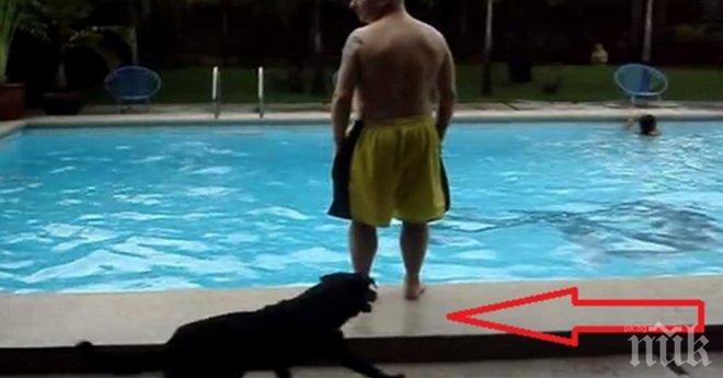 Кучето тичаше зад своя приятел. Секунди по-късно!? Не мога да спра да се смея!