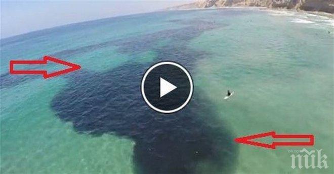 Първоначално си помислих, че това е разлив на петрол. Когато те приближиха? Направо не вярвам на очите си!
