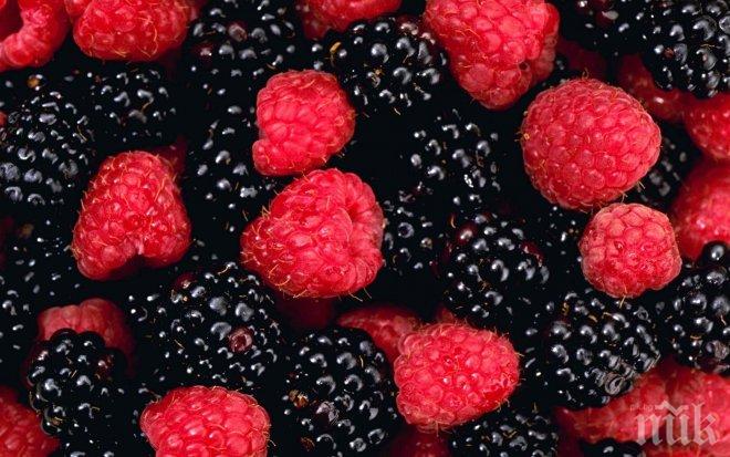 Глобализацията влошава ценовите шокове за вносителите на храна